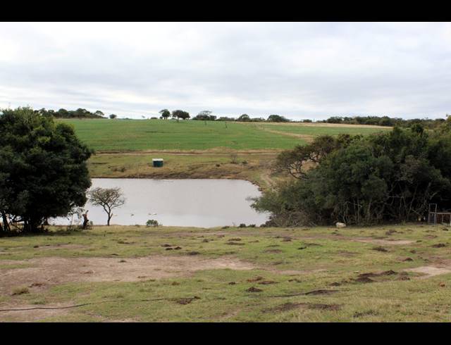 657HA FARM FOR SALE IN KOMGA RURAL